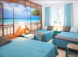 Can Pau Llanca Sf Parascheva