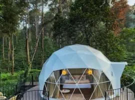 The Edens Glamp Munnar-An luxury Getaway