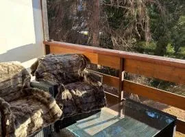 Central studio in Villars sur Ollon, Emeraude, for 3 only 100m to Bretaye ski train