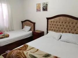شقة مفروشة غرفتين ف الشيخ زايد