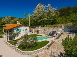 Beautiful Villa Cartolina with pool in Buje