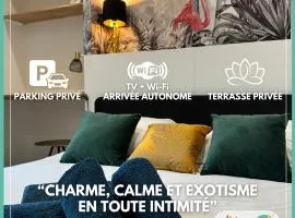 L'Oiseau du paradis - terrasse privée, parking, wifi rapide, arrivée autonome, entre gare et centre-ville, rez-de-chaussée