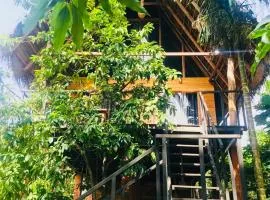Habarana Tree House - Ivory cottage