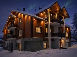 Levillenet Bears Watch Apartments