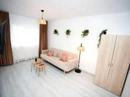 Apartament la munte