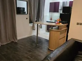 Beautiful 1-bedroom apartment of 70 m2 Chateaucreux