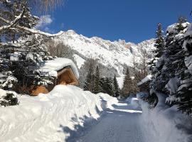 Apartment Wildbach, khách sạn ở Hinterthal