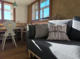 5Sterne Ferienwohnung im Fachwerk mit Bergblick in Alleinlage und großem Garten, Infrarotkabine