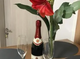 Villa Cologne - Apartments & Monteursquartiere in Meckenheim bei Köln