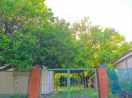 Casa en centro de Icho Cruz