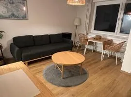 FeWo am Deich 3, zentral mit Flussblick, Balkon und Aufzug