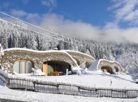 Himmelsbögen und Apartments mit Seeblick und Alleinlage, hotel in Weissensee