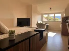 Appartement Le nid sur l'Ain