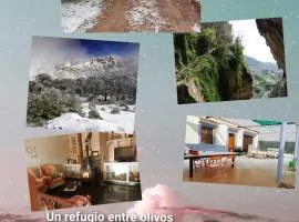 Casa Rural El Olivar Victoria