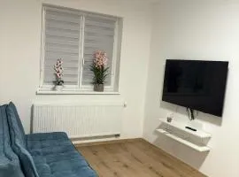 Apartmány u Honzíka