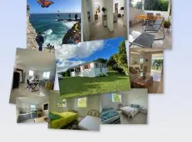 Rayon des îles bien désirée