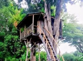 Casa Del Árbol - Ometepe