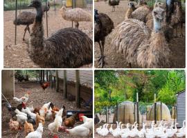 Bucks County Home Farm Philadelphia Dog Friendly, hotel em Warminster