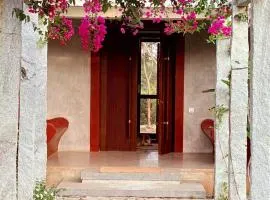 Chandra - Journey back to you