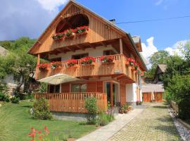 Apartments Vila Jelka, bezbariérové ubytování v destinaci Bohinj