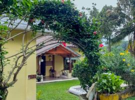 Sumatra Cheeky Monkeys, hotel in Bukit Lawang