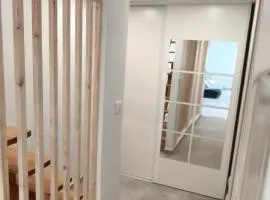 Magnifique duplex T3