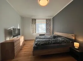 Private Riverside Apartment Brno