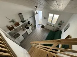 Coquet Studio Indépendant Sur L'ile