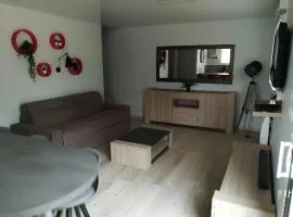 Gîte classé, 55 m2, 4 pers, 20 min plages