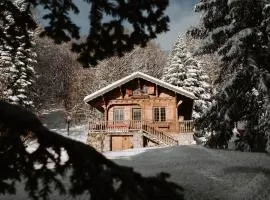 Chalet Clair Bois - La Féclaz avec bain nordique privé