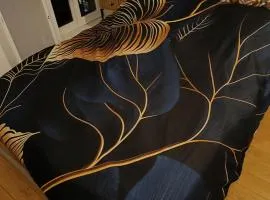 Appartement DuplexCœur de Ville