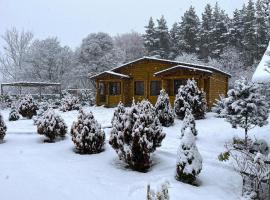 Kingswood Cabins Borjomi, chalet i Borjomi