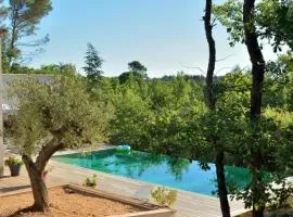 Sous les oliviers - Piscine chauffée à débordement- Studios climatisés