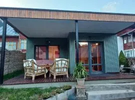 Alpine Yard Nest Busteni