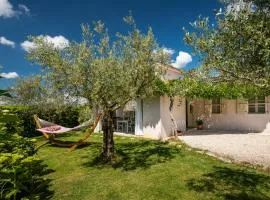 Beautiful Villa GF25 with pool in Visnjan