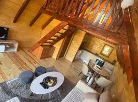 Jovanovic family house