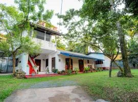 Neem Trees Unawatuna