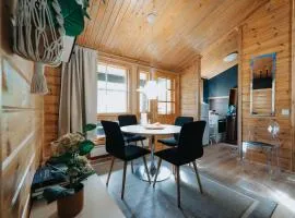 Newly Renovated 2BR Cabin in Riihivuori