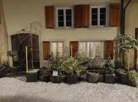 18th Century Character Cottage - Hiking Groups, Families, Business