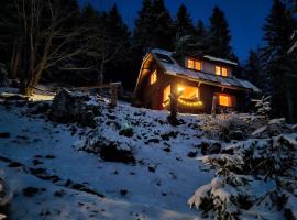 Cabin on Kobilica Off Grid Alpine Eco Retreat with Stunning Views Trail access only hike&bike, Hotel in Tržič
