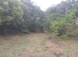 Ibira Camping