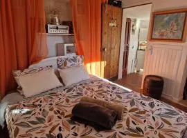 Maison de village vençoise