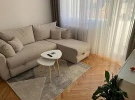 Apartment Vilsonova