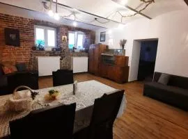 Przestronny apartament w centrum miasta