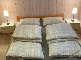 Bed and Breakfast- rom med bad i Elverum