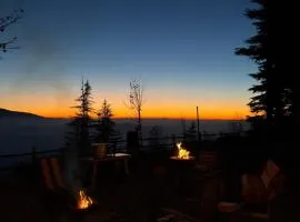 Il Barino Pietragavina