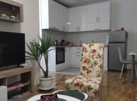 Apartman ZID, hotel in Smederevska Palanka