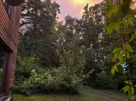 Chaloupka v lese u Kutné Hory