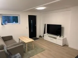 Family friendly apartment with parking