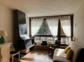 Location d'un studio chaleureux au pied des pistes, hotel i Guillaumes